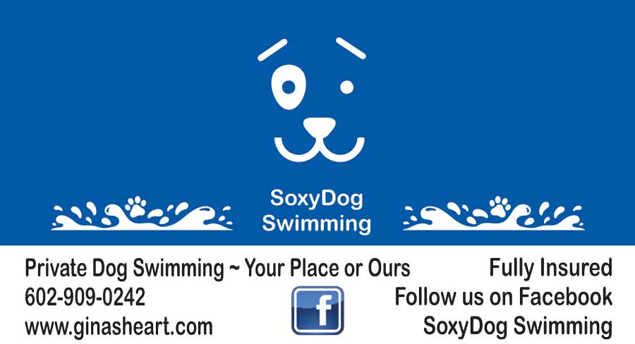 SoxyDog Swimming