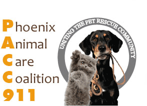 pacc 911 header cropped