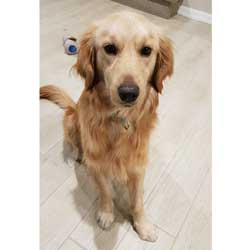 Jesus Butter IMG 20201231 WA0018