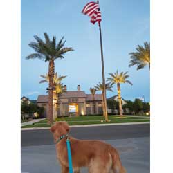 Jesus Butter 20201207 173647