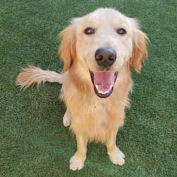 Jesus Butter IMG 20201205 WA0021