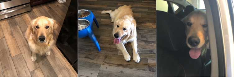 21 049 Gabe now Max4