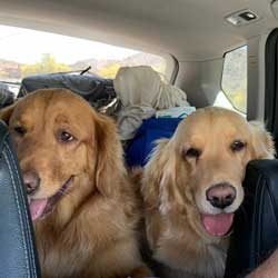 22-005 Bell & 22-006 Benson now Bean