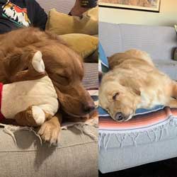 22 005 Bell 22 006 Benson now Bean1