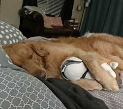 22 005 Bell 22 006 Benson now Bean2