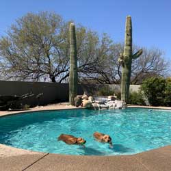 22 005 Bell 22 006 Benson now Bean3