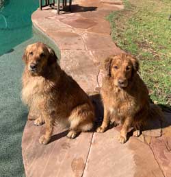 22 005 Bell 22 006 Benson now Bean4