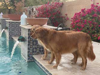 22 005 Bell 22 006 Benson now Bean5