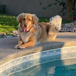 22 005 Bell 22 006 Benson now Bean6