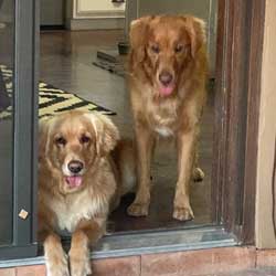 22 005 Bell 22 006 Benson now Bean7