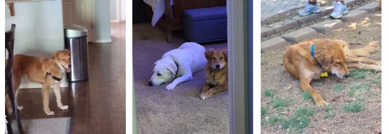 22 010 Marley now Tamale1