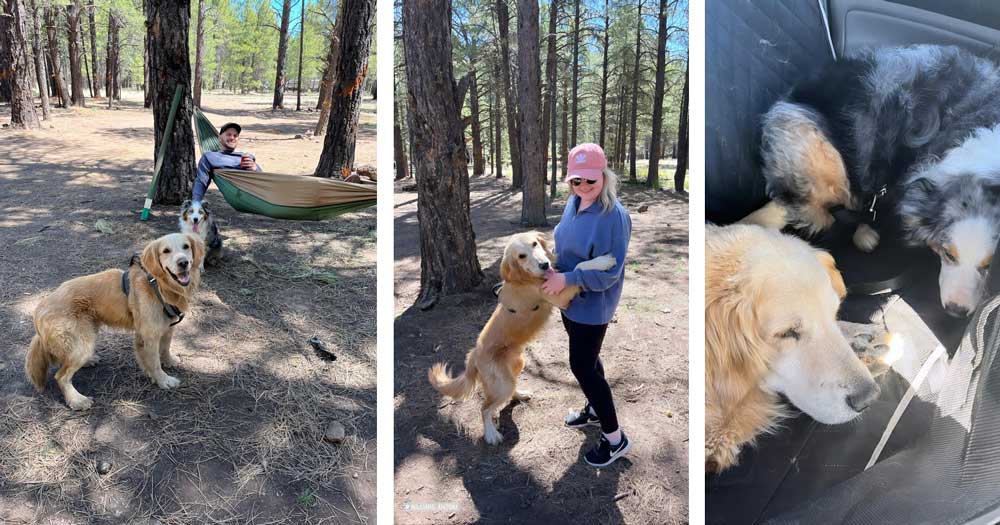 22 013 Bailey now Butters