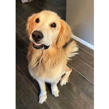 22-013 Bailey now Butters