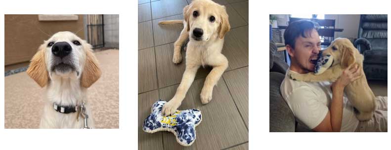 22 021 Indy now Millie1