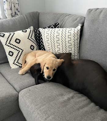 22 031 cory now belle IMG 0627