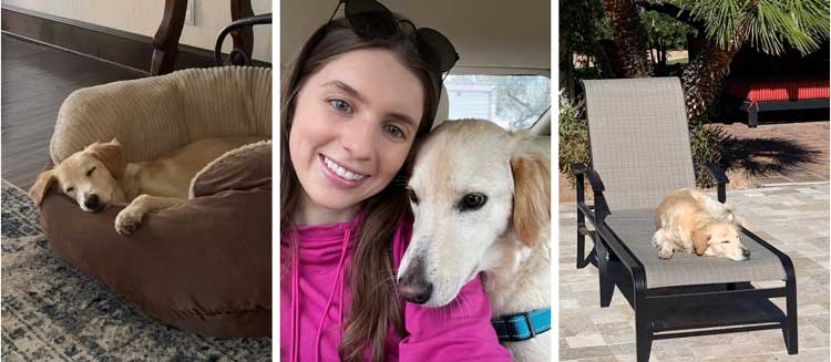 22 045 Gaspar now Jasper1