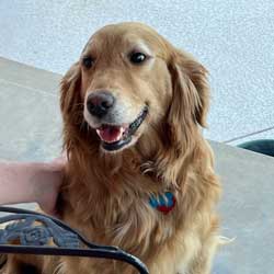 22-059 Raya now Gracie