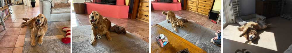 22 059 Raya now Gracie2