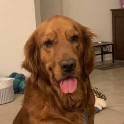 22-064 Bill now Murphy