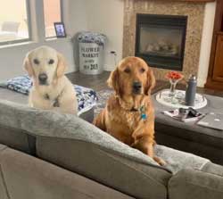 23 016 Cleveland now Meg1