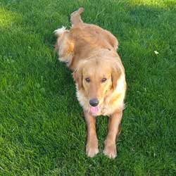 23-018 Aurora now Daisy