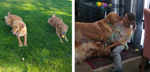 23 018 Aurora now Daisy1