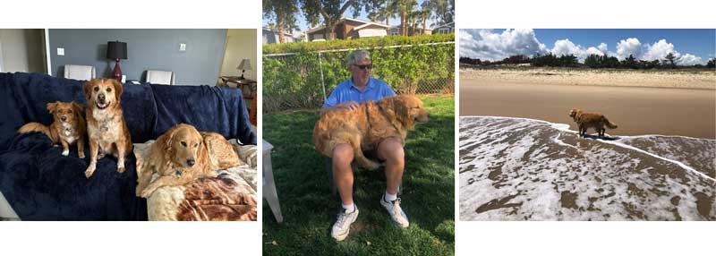 23 020 Clinton now Buddy1