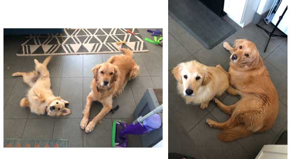 23 034 Quincy now Booker1