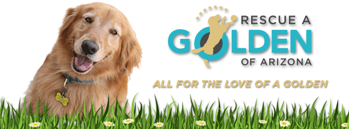 Rescue a Golden of Arizona